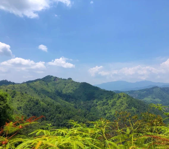 বান্দরবান